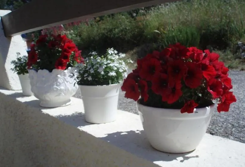 Bed and Breakfast Il Girasole - Gallery Image 7