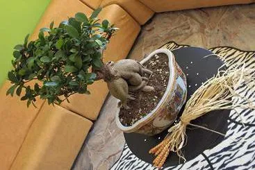 Hotel Morri's - Gallery Image 4