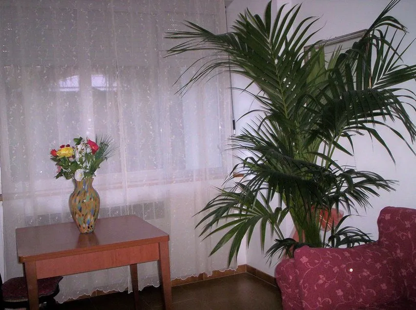 Hotel Ideale - Gallery Image 2