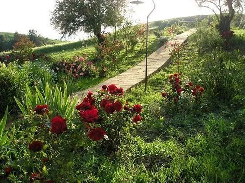 Agriturismo Pelagaccio - Gallery Image 6