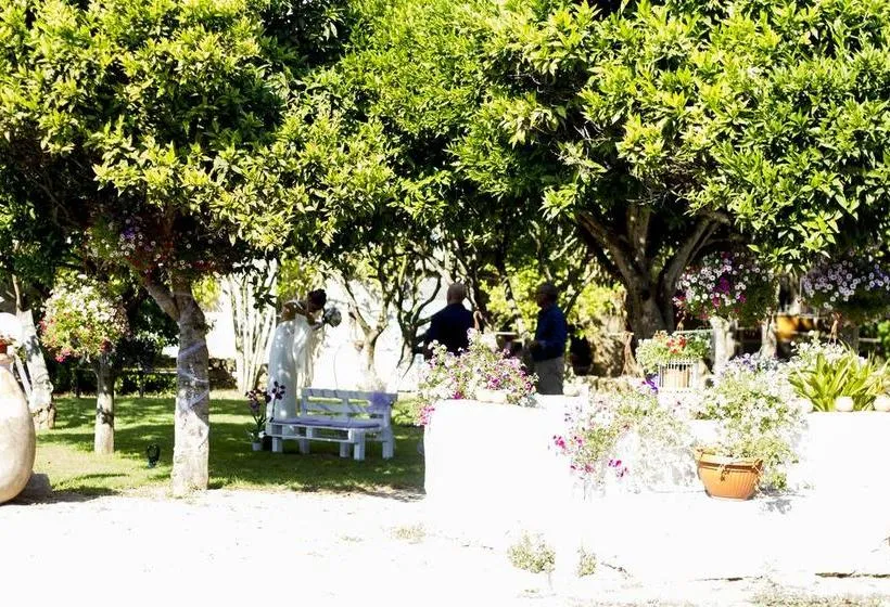 Bed and Breakfast La Purissima  Alguer