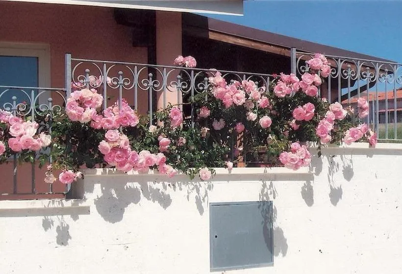 B&amp;b La Casa Delle Rose - Gallery Image 7