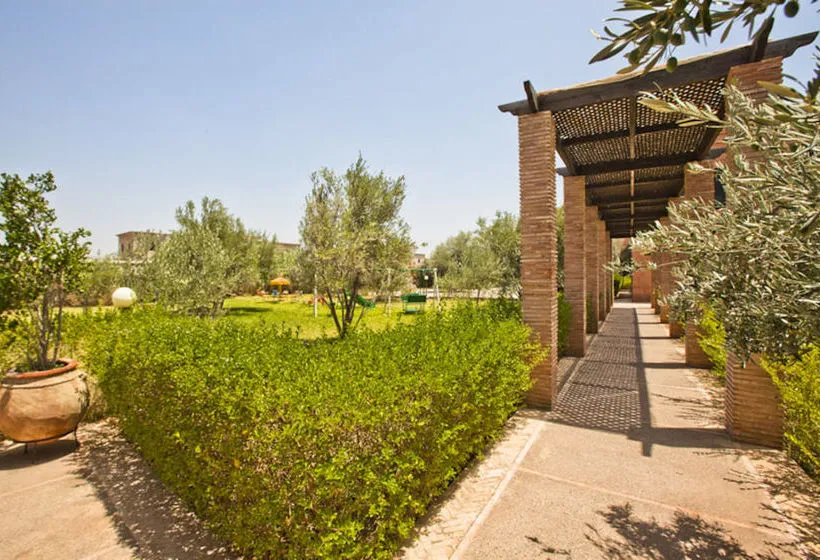 riad-mhidou-1.webp
