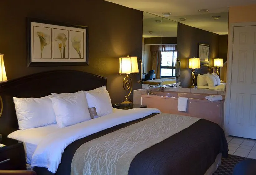 Hotel Comfort Inn - Gallery Image 9