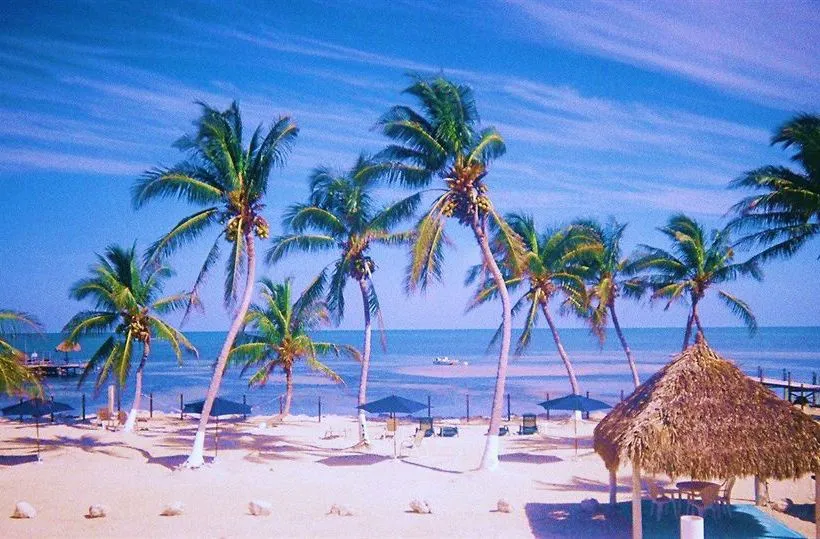 Hotel Seashell Beach Resort en Marathon
