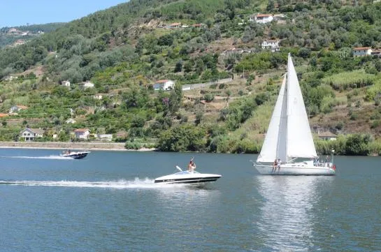 Douro Park Hotel - Gallery Image 6