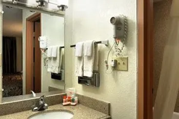 Hotel Howard Johnson Binghamton - Gallery Image 7