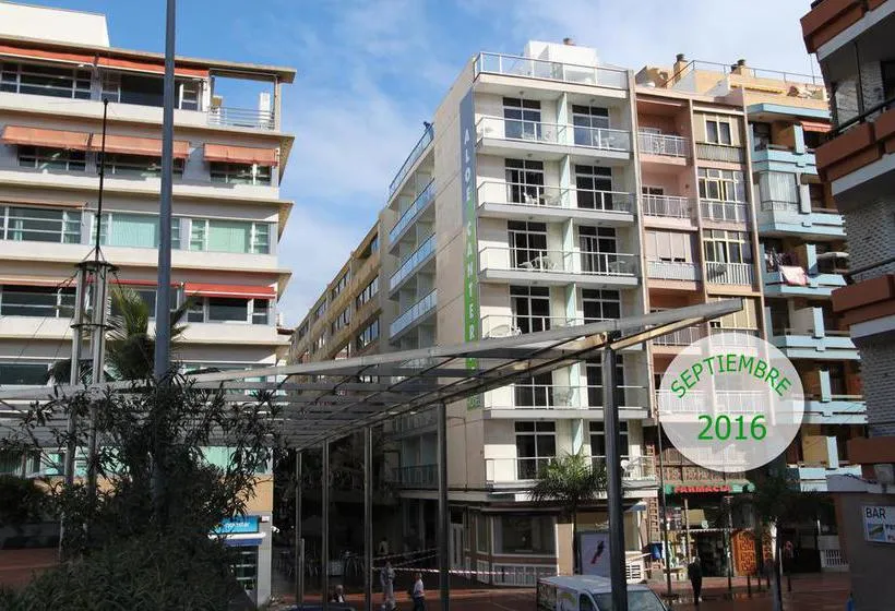 Hotel RK Aloe Canteras  - Gallery Image 4